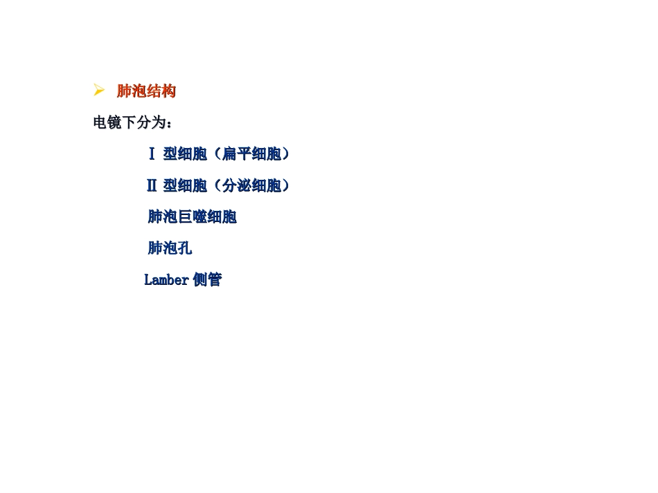 药物对呼吸系统的毒性作用PPT课件_第4页