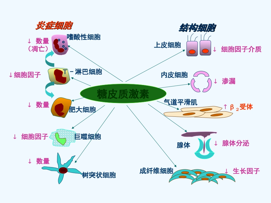 糖皮质激素在哮喘中的应用_第9页