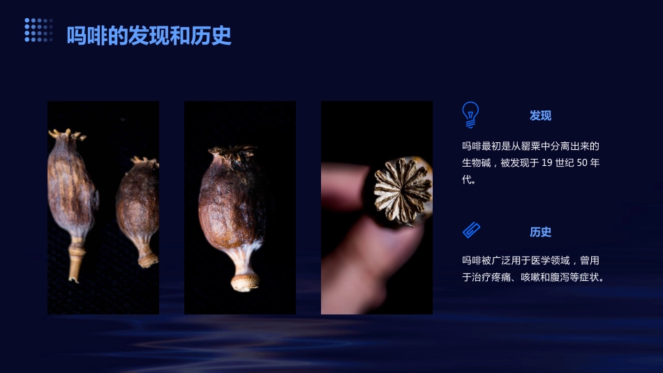 吗啡的药理作用及课件_第4页