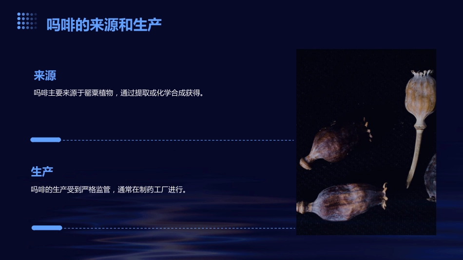吗啡的药理作用及课件_第6页
