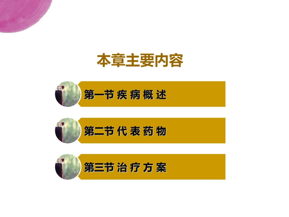 抗结核药PPT幻灯片课件_第2页