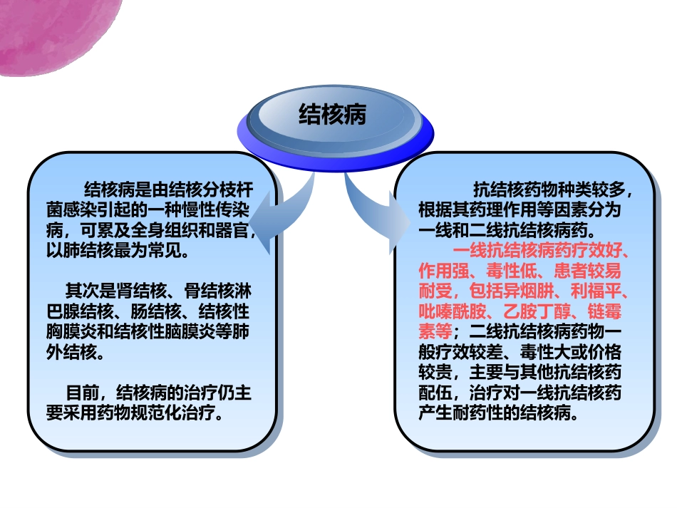 抗结核药PPT幻灯片课件_第5页