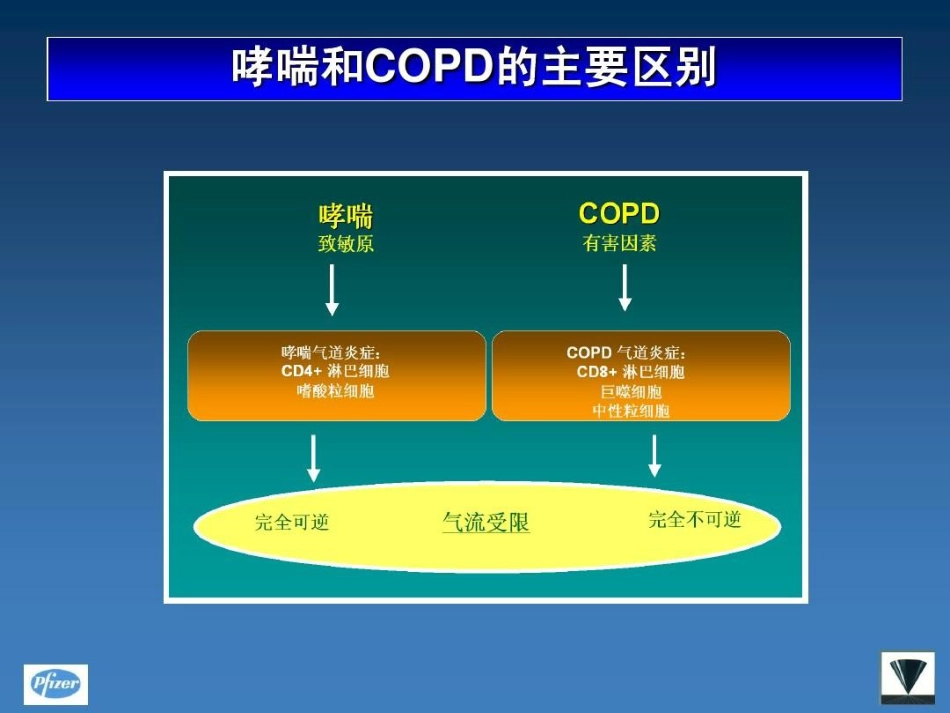 甲强龙在慢阻肺中的应用PPT_第10页