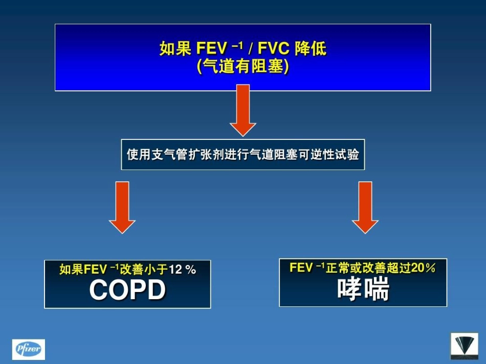 甲强龙在慢阻肺中的应用PPT_第13页
