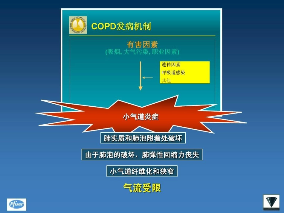 甲强龙在慢阻肺中的应用PPT_第9页