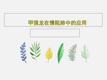 甲强龙在慢阻肺中的应用PPT