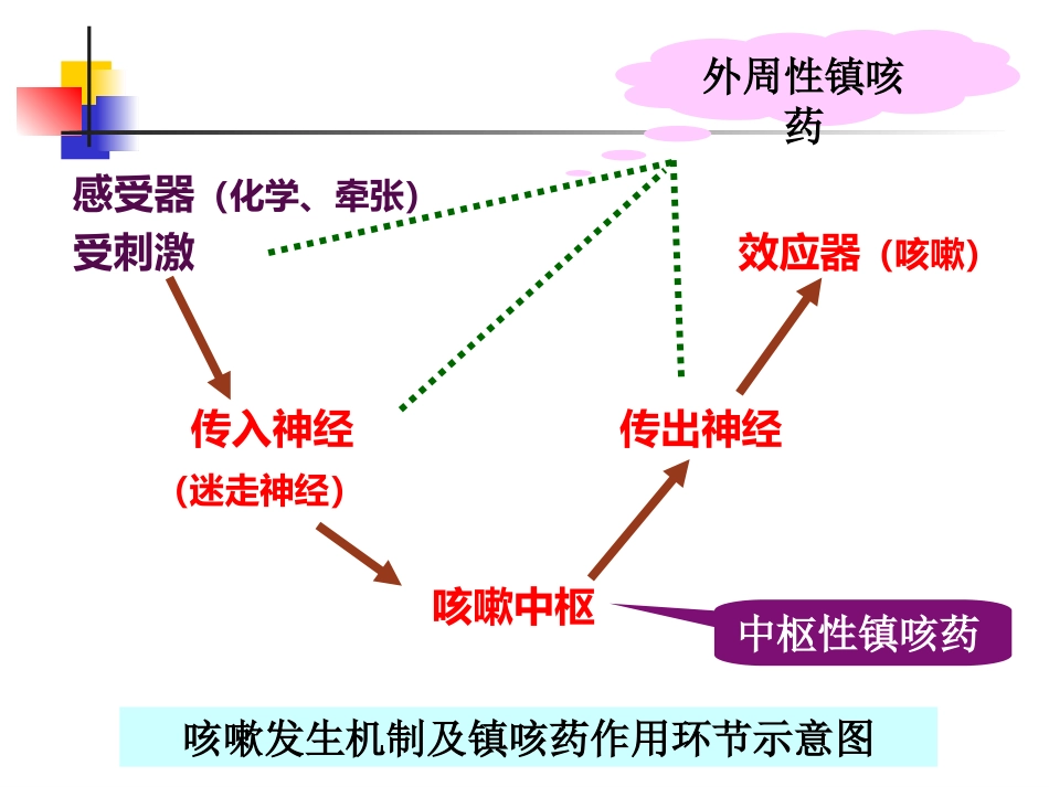呼吸系统药及合理用药_第8页