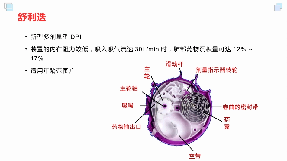 呼吸系统常用吸入装置_第14页