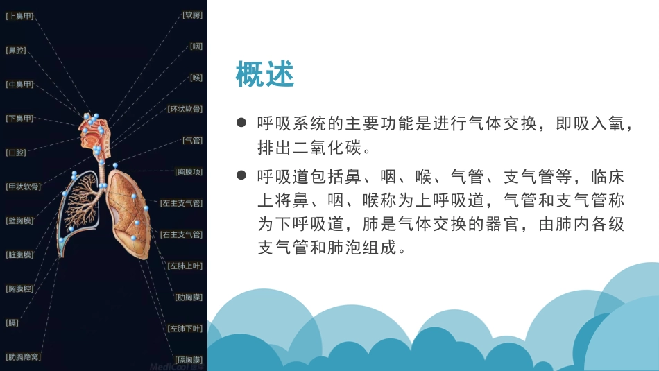 呼吸道疾病抗菌药物的选择_第5页