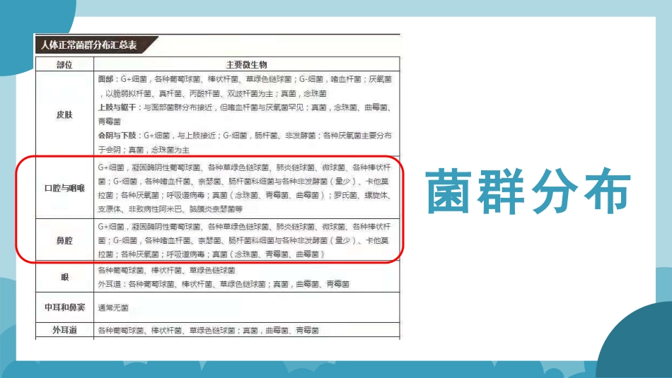 呼吸道疾病抗菌药物的选择_第8页