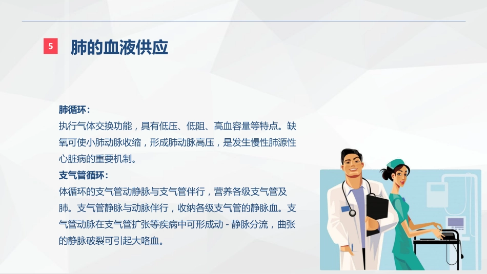 呼吸系统的结构功能与疾病关系_第11页
