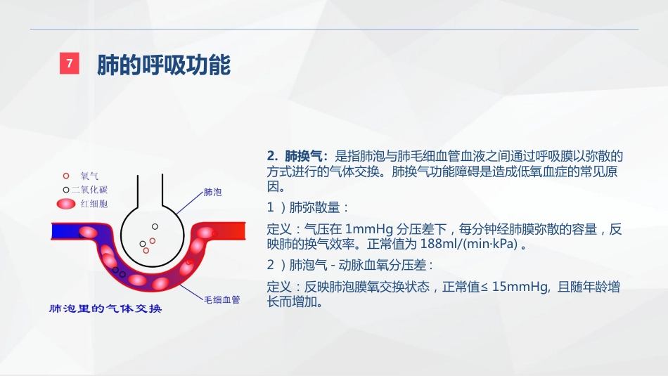 呼吸系统的结构功能与疾病关系_第15页