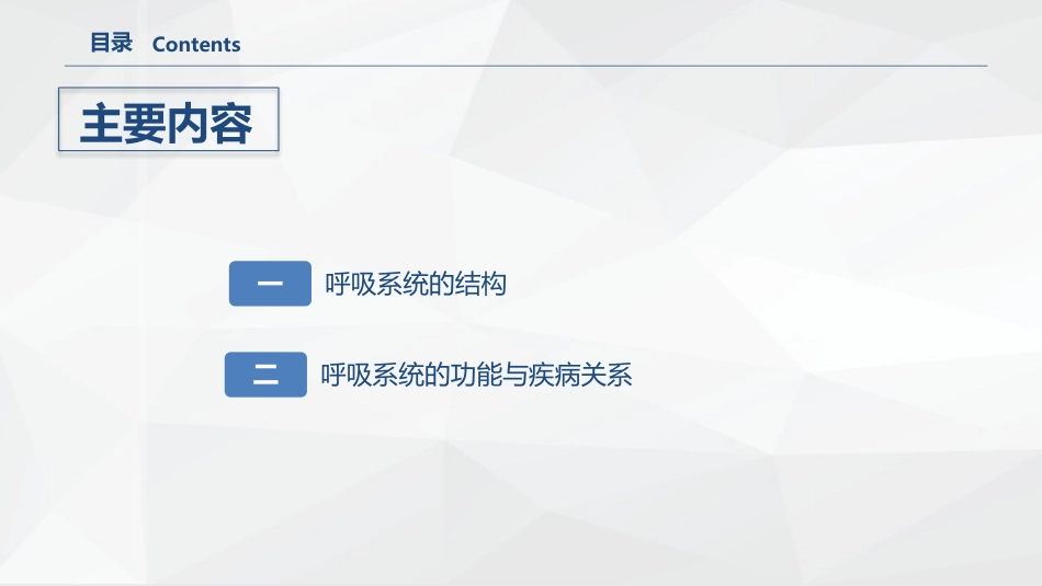 呼吸系统的结构功能与疾病关系_第2页
