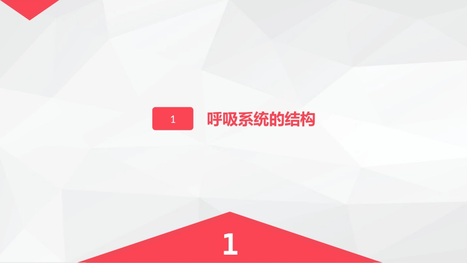呼吸系统的结构功能与疾病关系_第3页