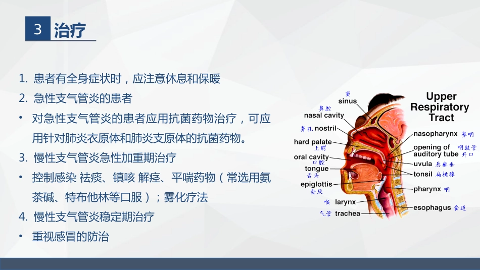 呼吸系统常见疾病的护理业务学习_第12页