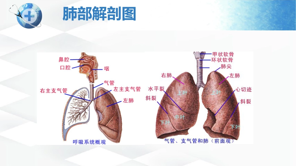 呼吸衰竭护理查房-2_第9页
