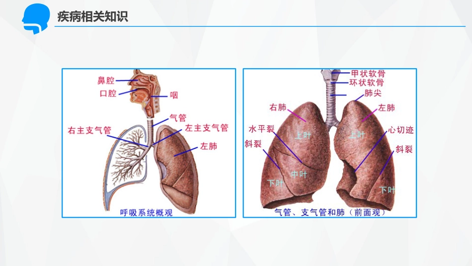 呼吸内科-呼吸衰竭护理查房 (2)_第9页