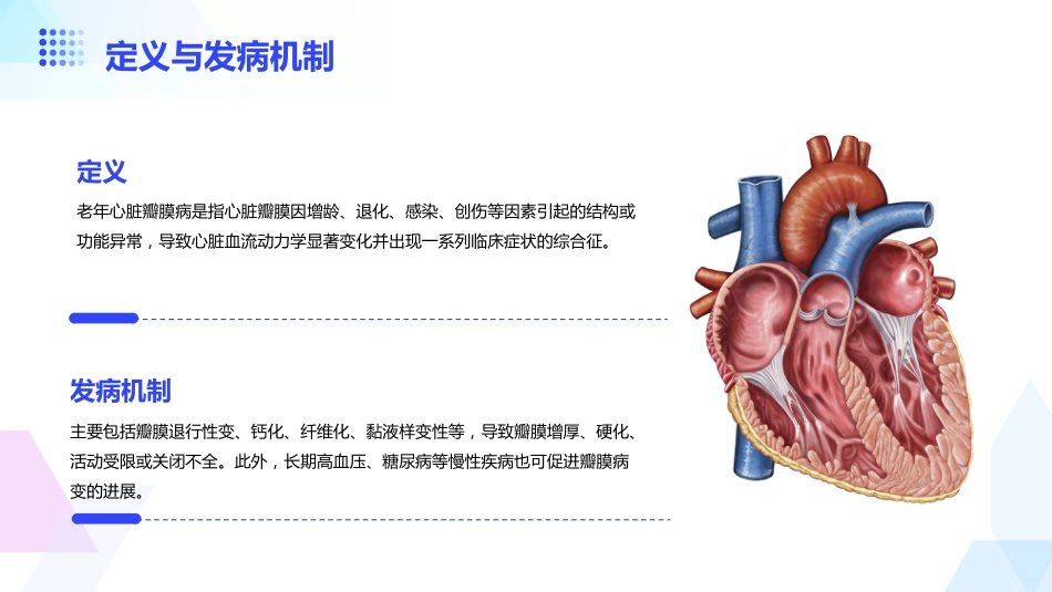 老年心脏瓣膜病_第4页