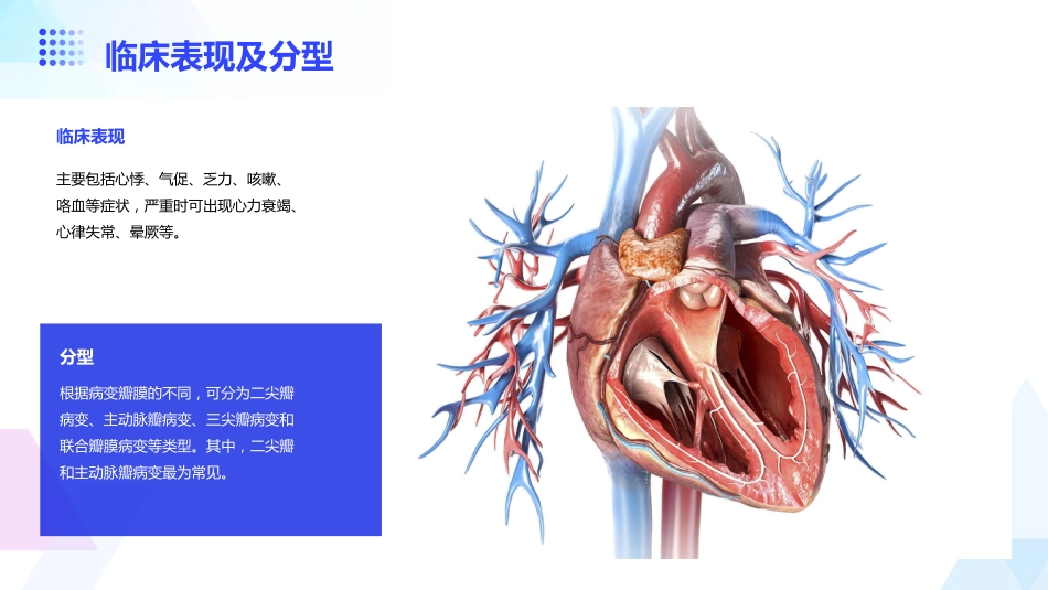 老年心脏瓣膜病_第6页