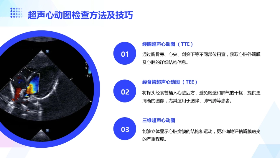 老年心脏瓣膜病_第9页
