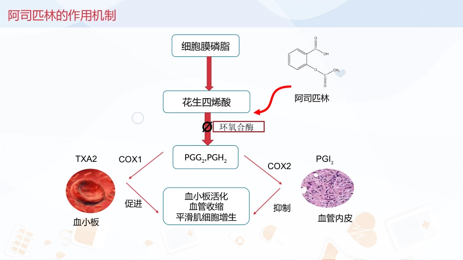 抗血小板治疗_第12页
