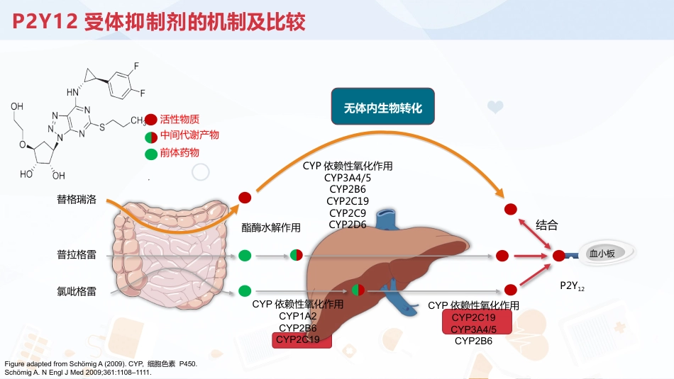 抗血小板治疗_第15页