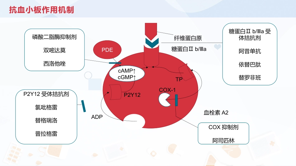 抗血小板治疗_第8页