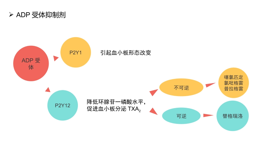 抗血小板药物_第13页