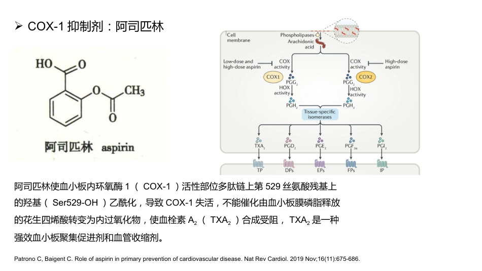 抗血小板药物_第9页