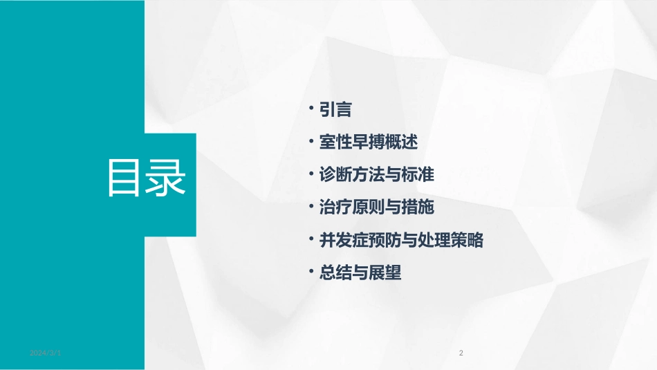 2024年室性早搏的诊断与治疗(PPT)_第2页