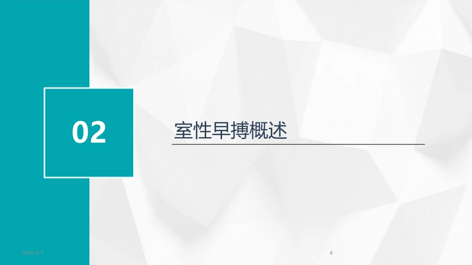 2024年室性早搏的诊断与治疗(PPT)_第6页