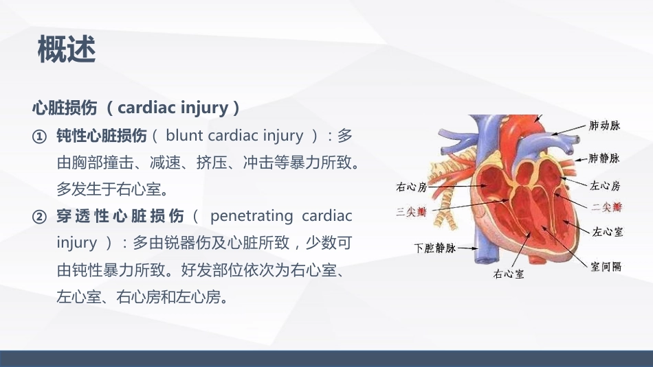 心脏损伤的业务学习_第4页