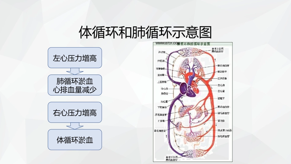 心力衰竭护理查房_第9页