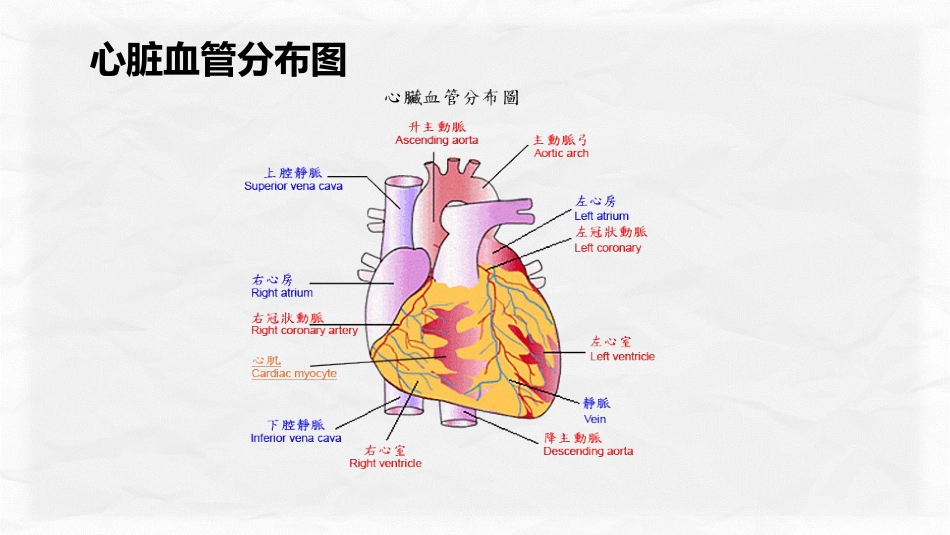 心肌梗塞个案护理_第11页