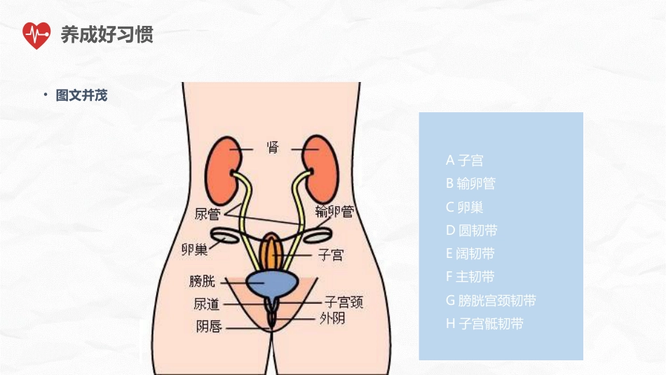 护理培训_第15页