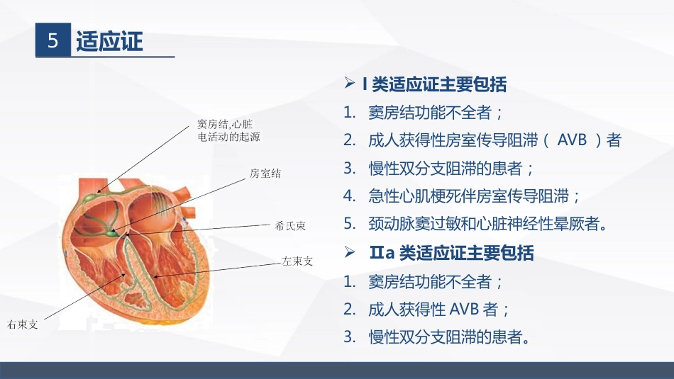 永久起搏器的业务学习_第9页