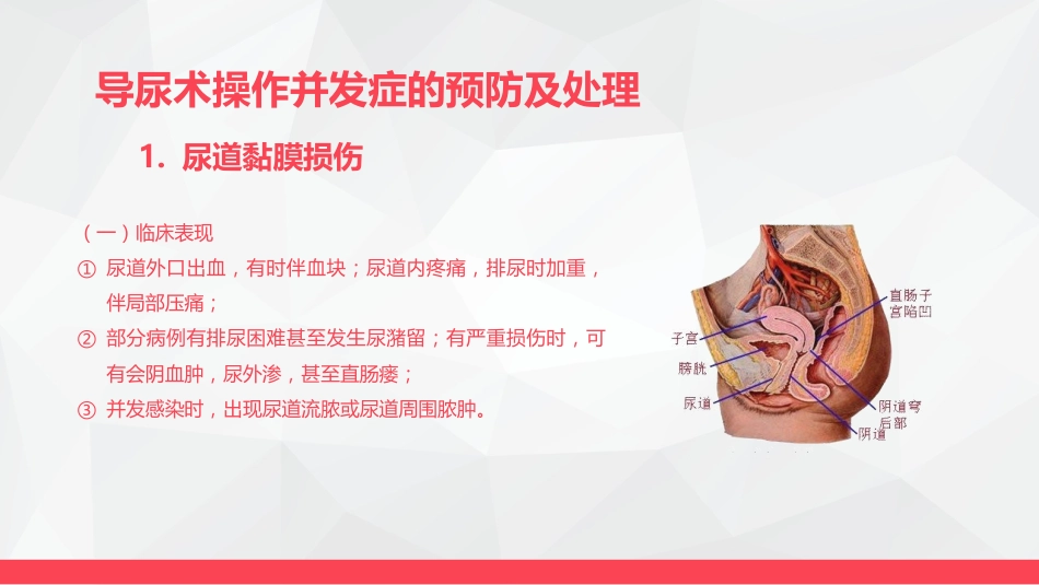 导尿术与灌肠法操作的并发症及处理_第7页