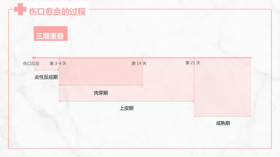 伤口护理_第12页