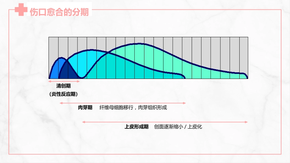 伤口护理_第6页