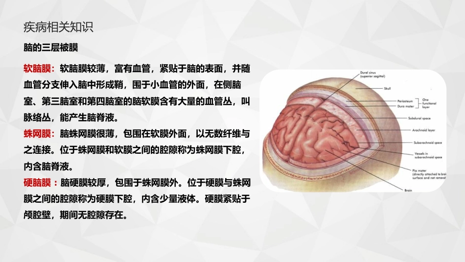 综合-护理查房综合通用-21_第9页