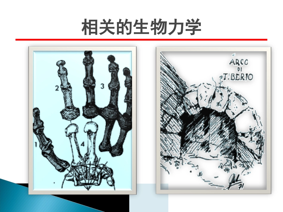 创伤中心：桡骨远端骨折课件_第14页