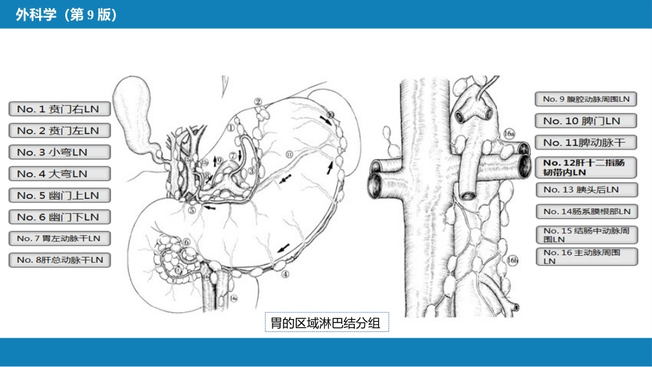 胃十二指肠疾病 第三节（一）胃癌_第14页