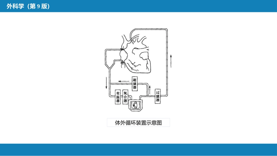 外科学：心脏疾病第一节心内直视手术基础措施_第8页