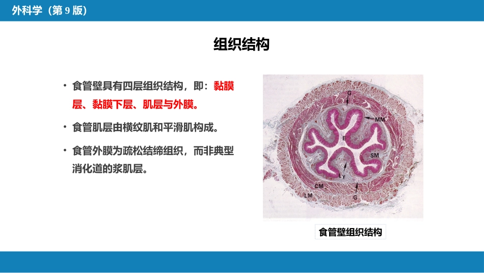 外科学：食管疾病_第4页