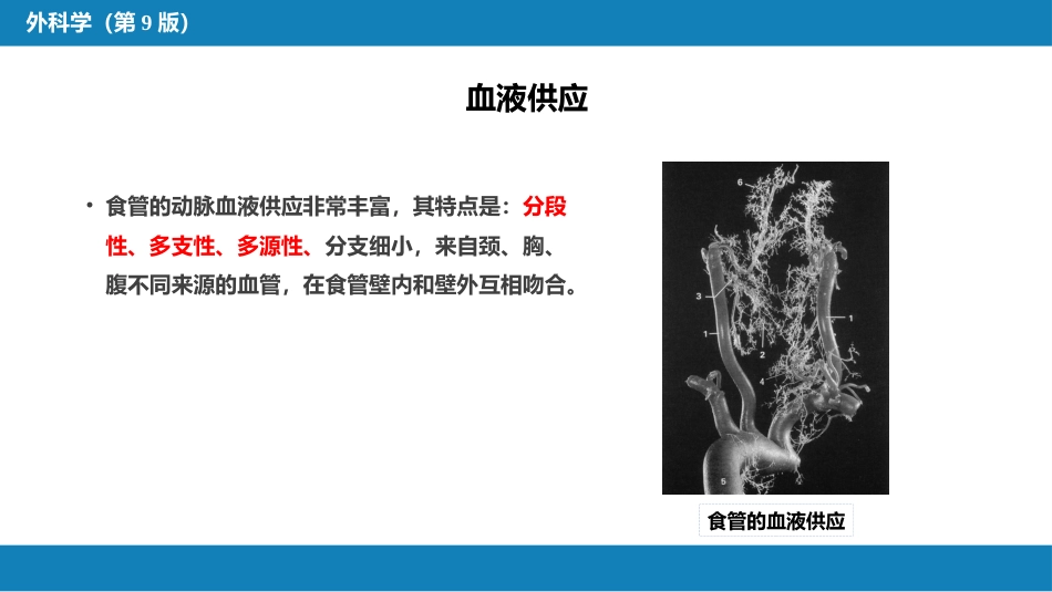 外科学：食管疾病_第6页
