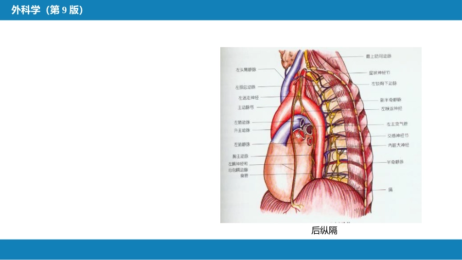外科学：原发性纵隔肿瘤_第6页