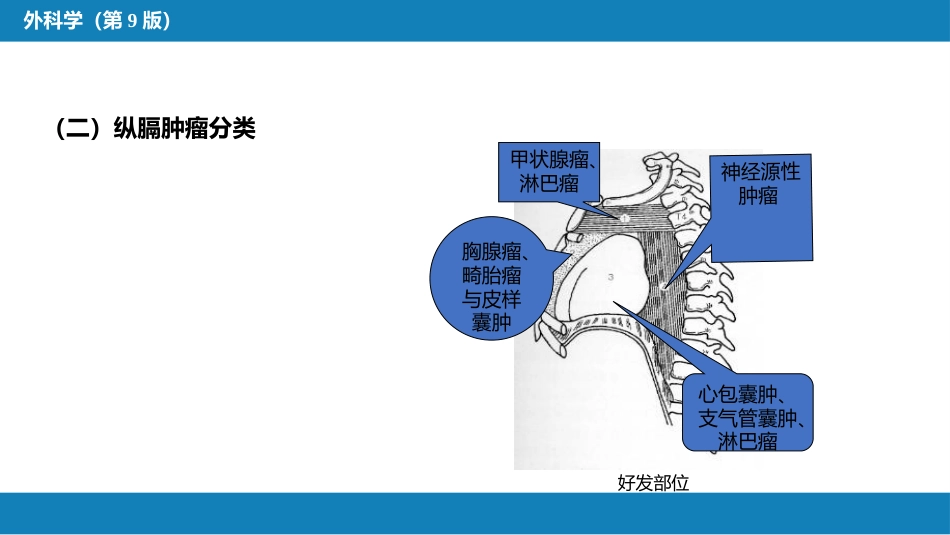 外科学：原发性纵隔肿瘤_第7页
