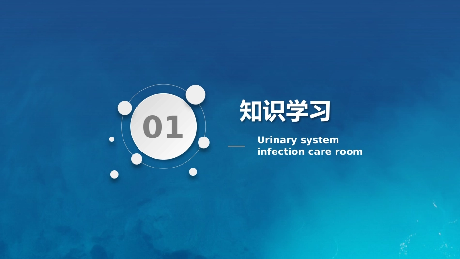 泌尿系统感染护理查房_第3页