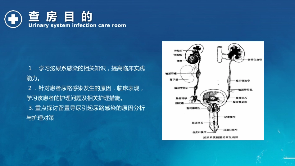 泌尿系统感染护理查房_第6页