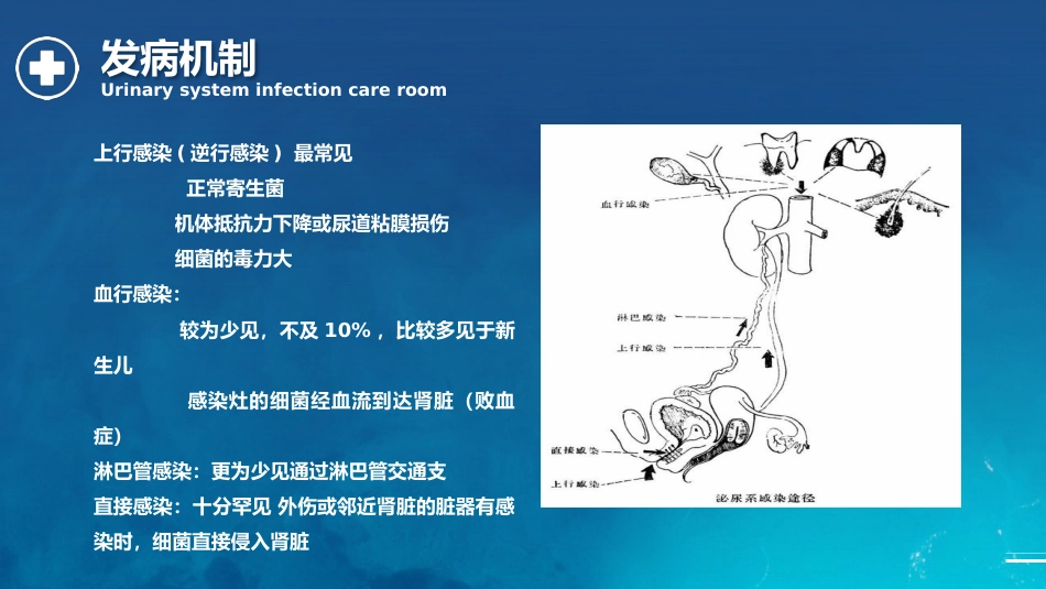 泌尿系统感染护理查房_第9页